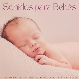 Album Sonidos Para Bebés: El Mejor Ambiente De Bosque Tropical Para Calmar A Tu Bebé oleh Canción de cuna inteligente para bebés