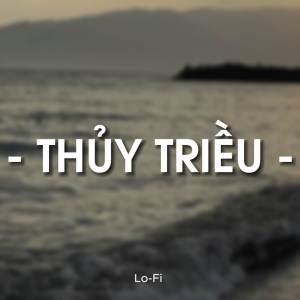 Album Thuỷ Triều (Lofi) oleh Quanvrox