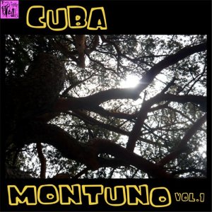 ดาวน์โหลดและฟังเพลง Dime Adiós Carmelina พร้อมเนื้อเพลงจาก Pío Leyva