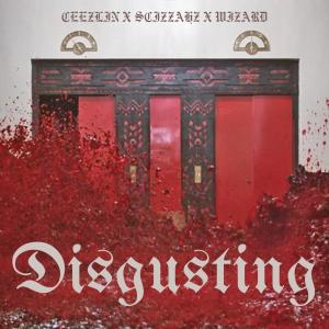 ดาวน์โหลดและฟังเพลง Disgusting (Explicit) พร้อมเนื้อเพลงจาก Scizzahz