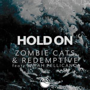 อัลบัม Hold On (feat. Sarah Pellicano) ศิลปิน Zombie Cats