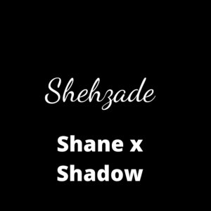 Shane的专辑Shehzade