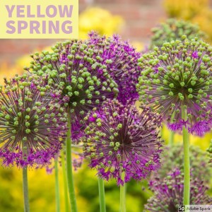 ดาวน์โหลดและฟังเพลง Woody พร้อมเนื้อเพลงจาก Hita