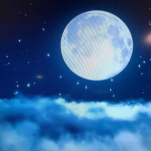 Seez的專輯OVERSEEZ (Explicit)