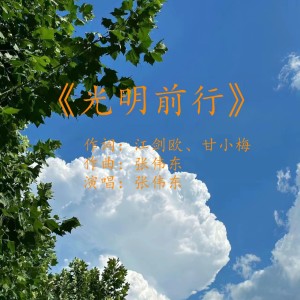 Listen to 光明前行 (伴奏) song with lyrics from 张伟东