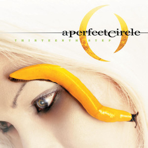 收聽A Perfect Circle的The Package歌詞歌曲