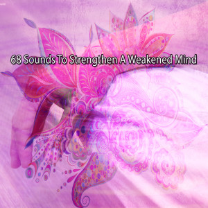 收聽Yoga Tribe的Healing Techniques歌詞歌曲