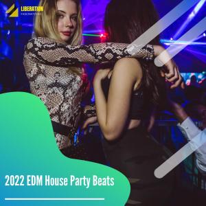 Listen to In the Castle Club song with lyrics from Mikhail Nikolaev
