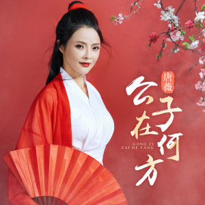 收聽唐薇的公子在何方 (DJ何鵬版)歌詞歌曲