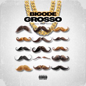 ดาวน์โหลดและฟังเพลง Bigode Grosso (Explicit) พร้อมเนื้อเพลงจาก oreia mc