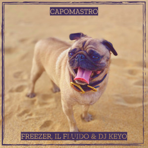 Listen to CapoMastro (Explicit) song with lyrics from Freezer