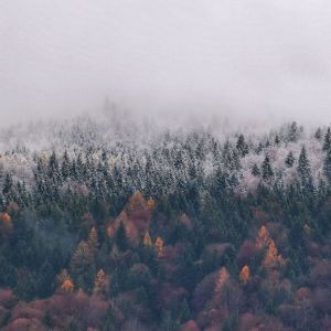 Album Relaxing Melodies from Sounds of Nature Noise