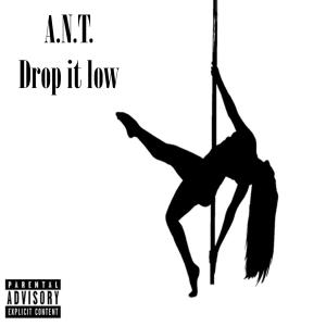 收听A.N.T.的Drop It Low (Explicit)歌词歌曲