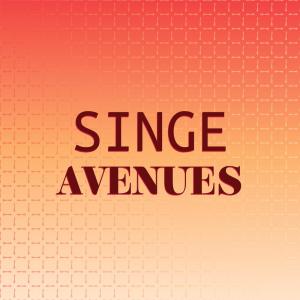 อัลบัม Singe Avenues ศิลปิน Various