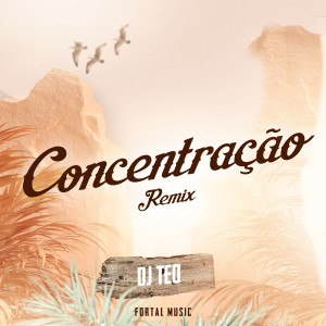 Album Concentração (Remix) oleh MC GW