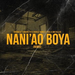 BM Killer的专辑Nani'Ao boya (Remix)