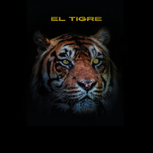 Listen to El Tigre song with lyrics from Miguel R Filio
