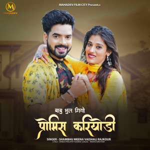 Listen to Babu Bhul Geyo Promis Kariyodi song with lyrics from Sambhu Meena