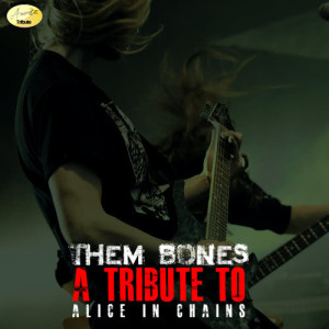 ดาวน์โหลดและฟังเพลง Them Bones พร้อมเนื้อเพลงจาก Ameritz - Tribute