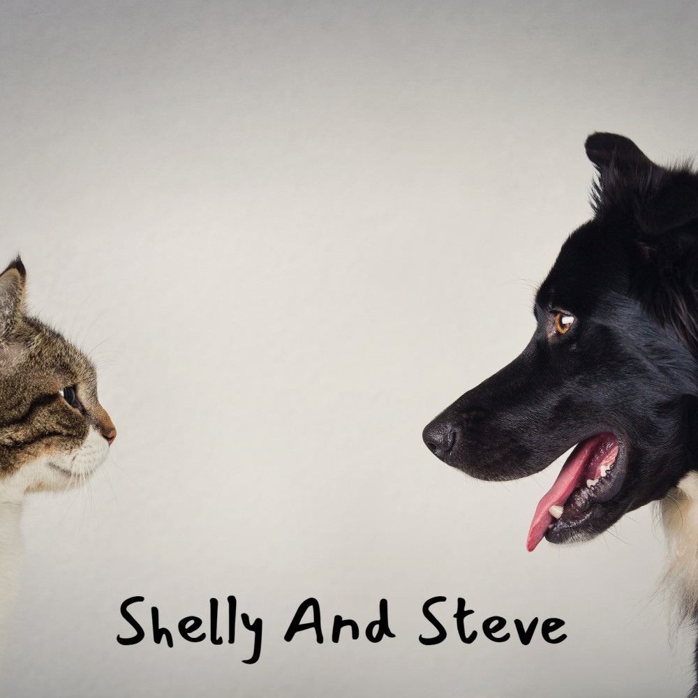 Shelly and Steve (Original Soundtrack from 'Violent Saturday')