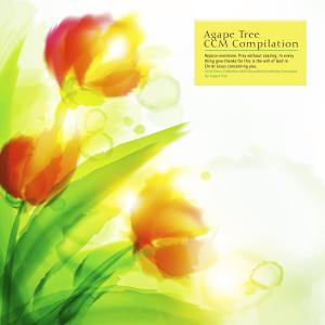 Various Artists的專輯CCM Piano Collection With Beautiful Sensibility Conveyed By Agape Tree