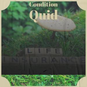 Album Condition Quid oleh Various Artists