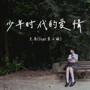 Album 少年时代的爱情 from 王弈