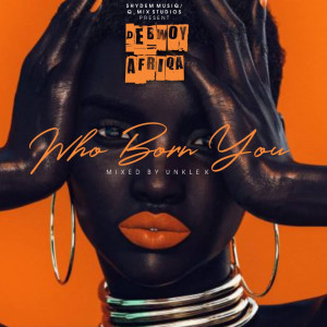 Debwoy的专辑Who Born You