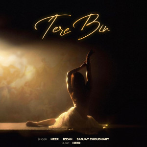 Album Tere Bin from Heer