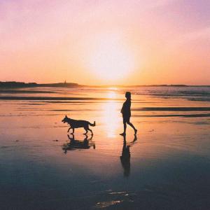 收聽Aychess的Stay in the Boat歌詞歌曲