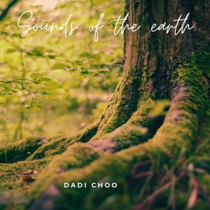 Dadi Choo的專輯Sounds of the earth
