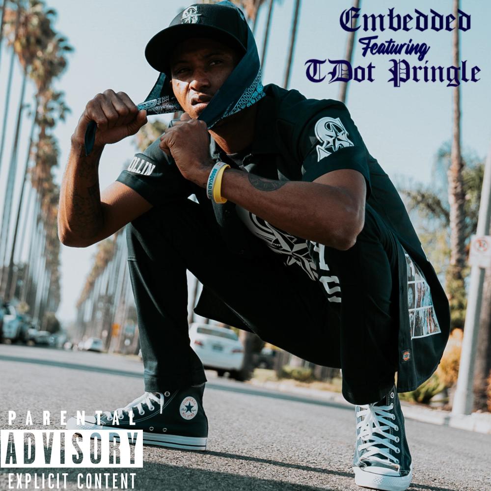 Embedded (feat. TDot Pringle) (Explicit)