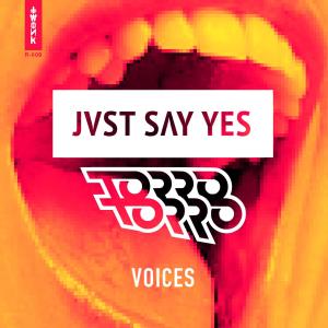 อัลบัม Voices ศิลปิน JVST SAY YES