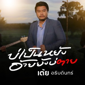 Listen to บ่เป็นหยังอ้ายยังบ่ตาย song with lyrics from เต้ย อธิบดินทร์