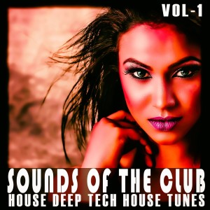 อัลบัม Sounds of the Club, Vol. 1 ศิลปิน Various Artists