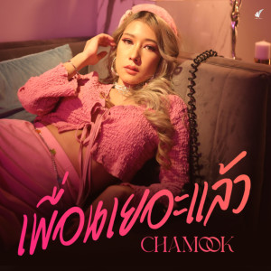 อัลบัม เพื่อนเยอะแล้ว - Single ศิลปิน CHAMOOK