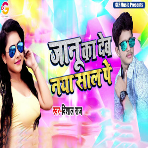 收聽Vishal Raj的Janu Ka Deb Naya Saal Pe歌詞歌曲