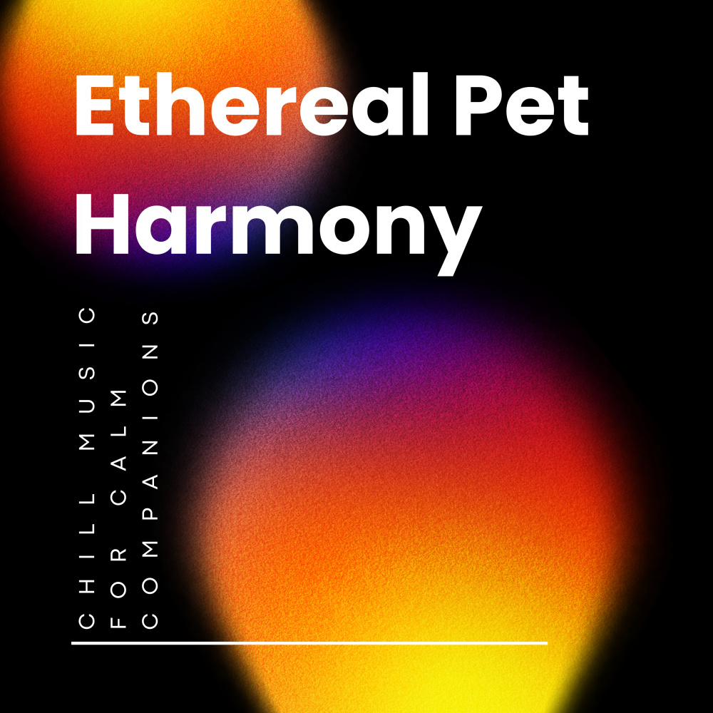 Zenful Ambient Connection