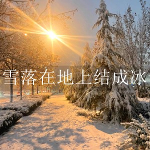 Listen to 雪落在地上结成冰 song with lyrics from 橙子辰