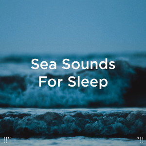 ดาวน์โหลดและฟังเพลง ASMR Sonido Del Océano พร้อมเนื้อเพลงจาก Relajacion Del Mar