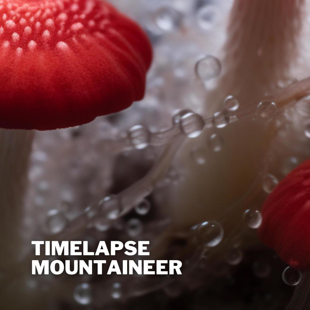 Timelapse