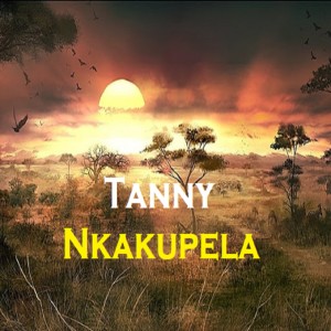 Listen to Nkakupela song with lyrics from Tanny