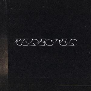 ดาวน์โหลดและฟังเพลง REDACTED (feat. Lxrd Killa) (Explicit) พร้อมเนื้อเพลงจาก noprivacy