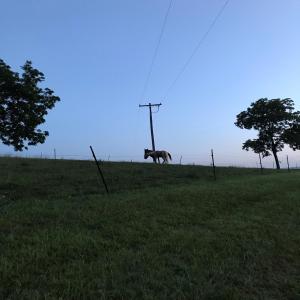 ดาวน์โหลดและฟังเพลง death of an ego 4 พร้อมเนื้อเพลงจาก blue sun chasing