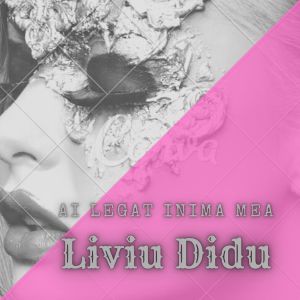 Listen to Ai Legat Inima Mea song with lyrics from Liviu Didu