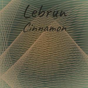 Dengarkan Requirement Both lagu dari Leobert Seer dengan lirik