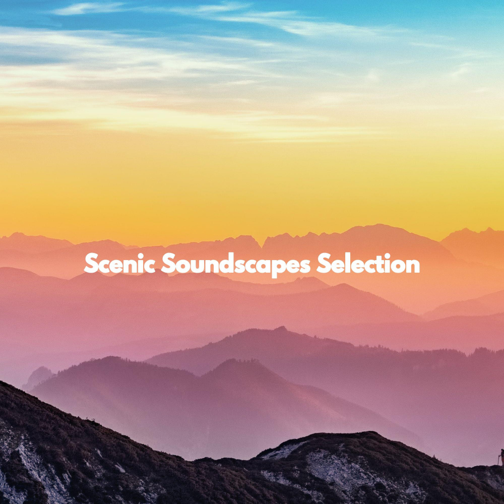 Jazz Quartet Soundtrack for Seeking Dreams