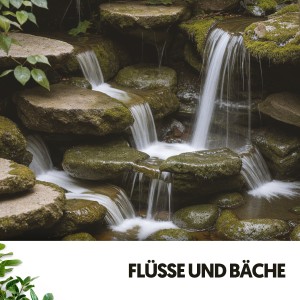 Rivers and Streams的專輯Flüsse und Bäche: Serenade der Natur