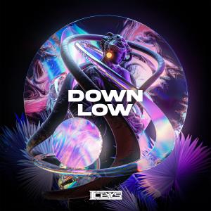 Album Down Low from Iceyys