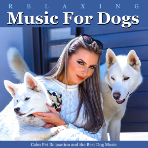 收聽Dog Music的Relaxing Music for Dogs (Sleeping Music)歌詞歌曲
